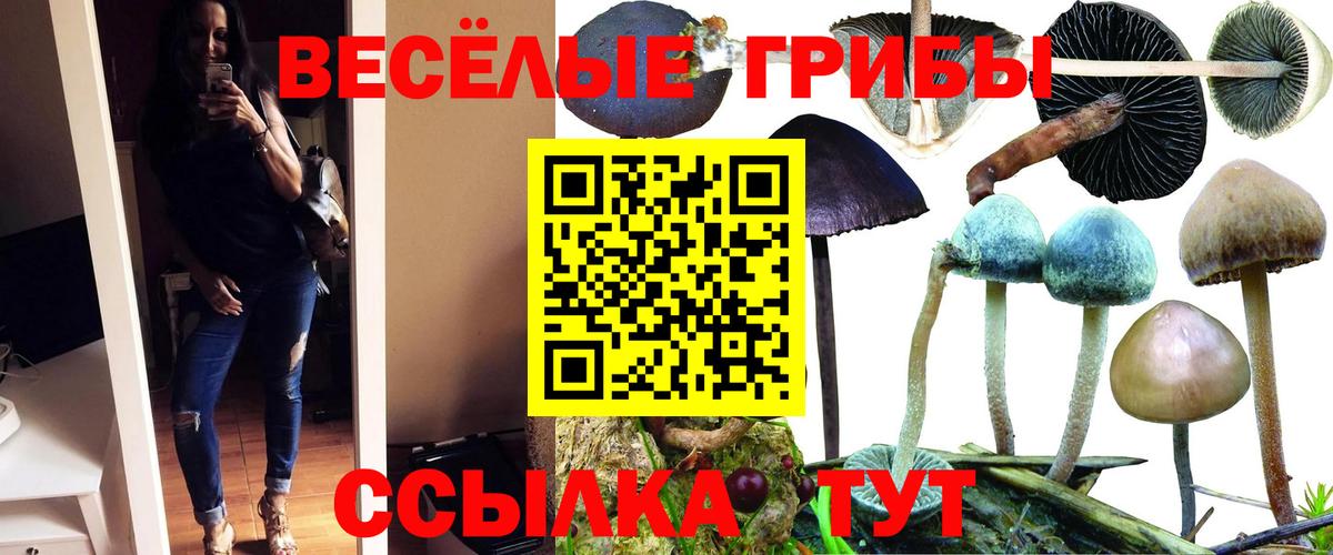 Бутурлиновка  Галлюциногенные грибы ЛСД  Вход с VPN  Псилоцибиновые грибы GOLDEN TEACHER 