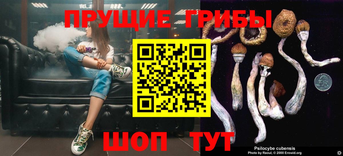 Галлюциногенные грибы MAGIC MUSHROOMS Бутурлиновка